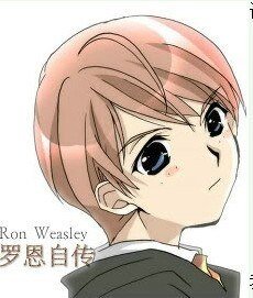(HP同人)罗恩自传